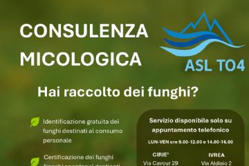 Controllo dicommestibilit&#224; dei funghi